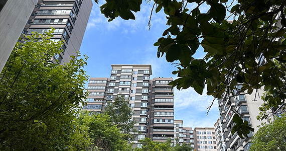 神奇宝贝之最强抽奖系统 容我三思