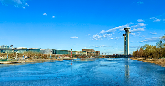 site域名网站查询：深入了解网站信息